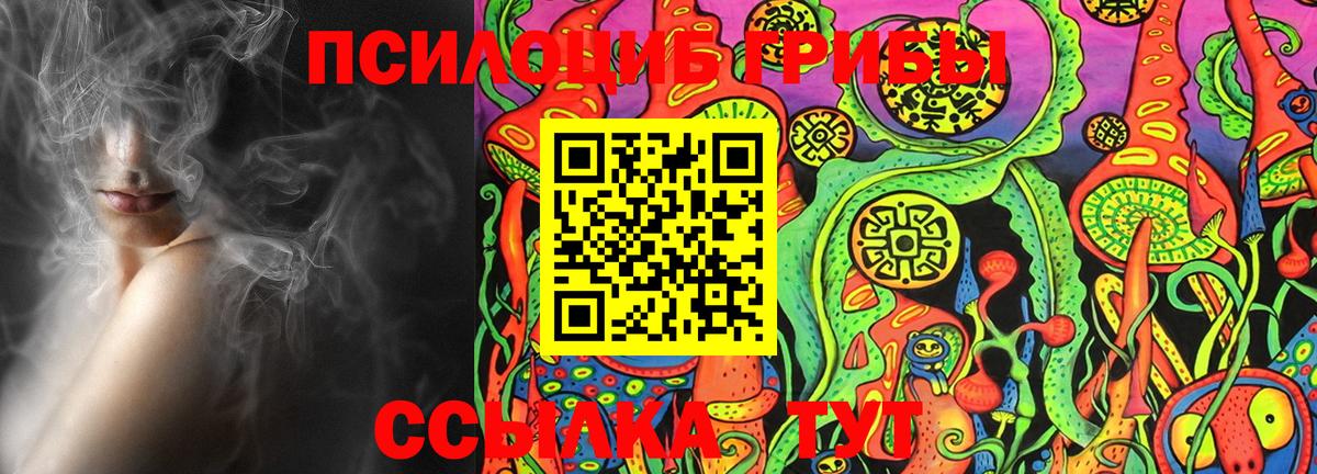 Псилоцибиновые грибы Psilocybine cubensis Сыктывкар